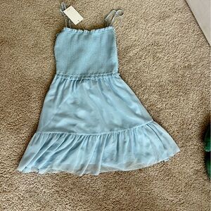 NEW Wilfred fancy blue dress
